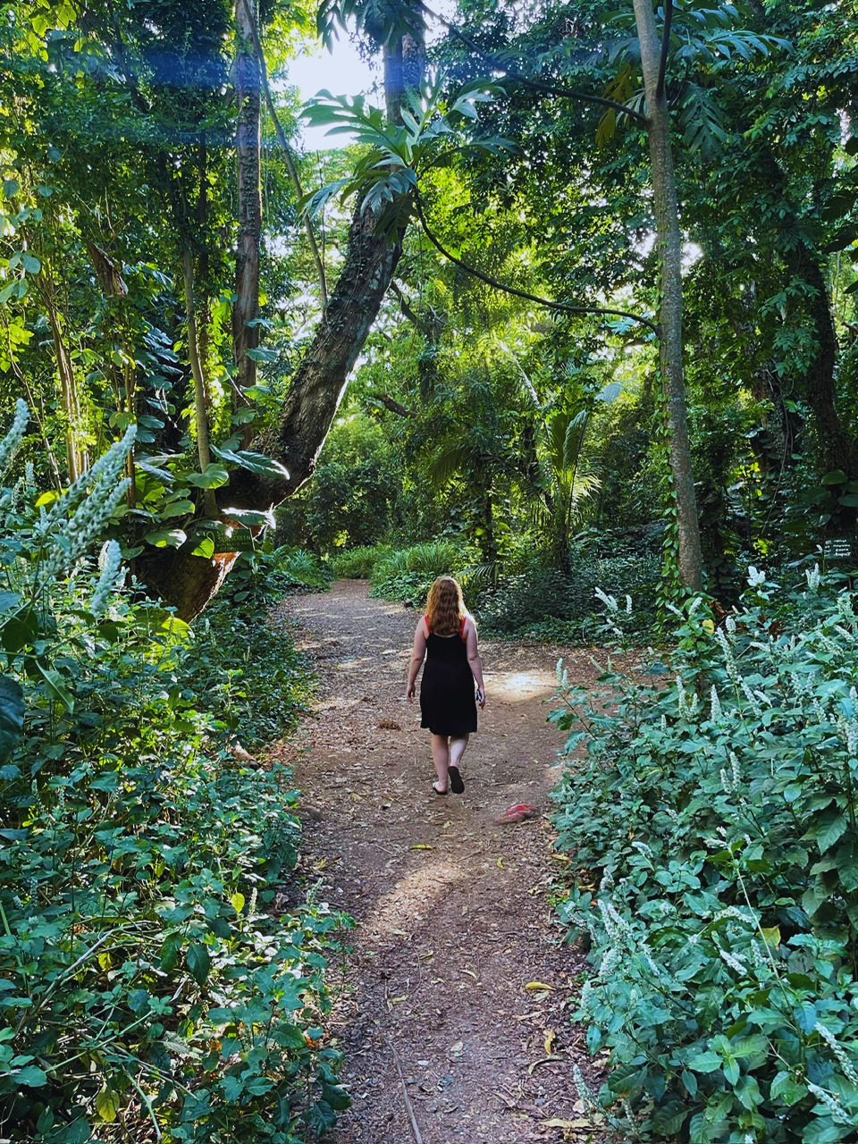 Kait walking through the trees and wildlife in Maui, Hawaii