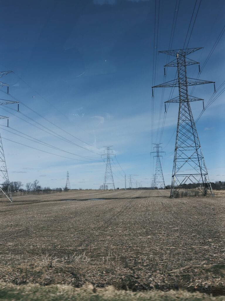 Pylons in a field