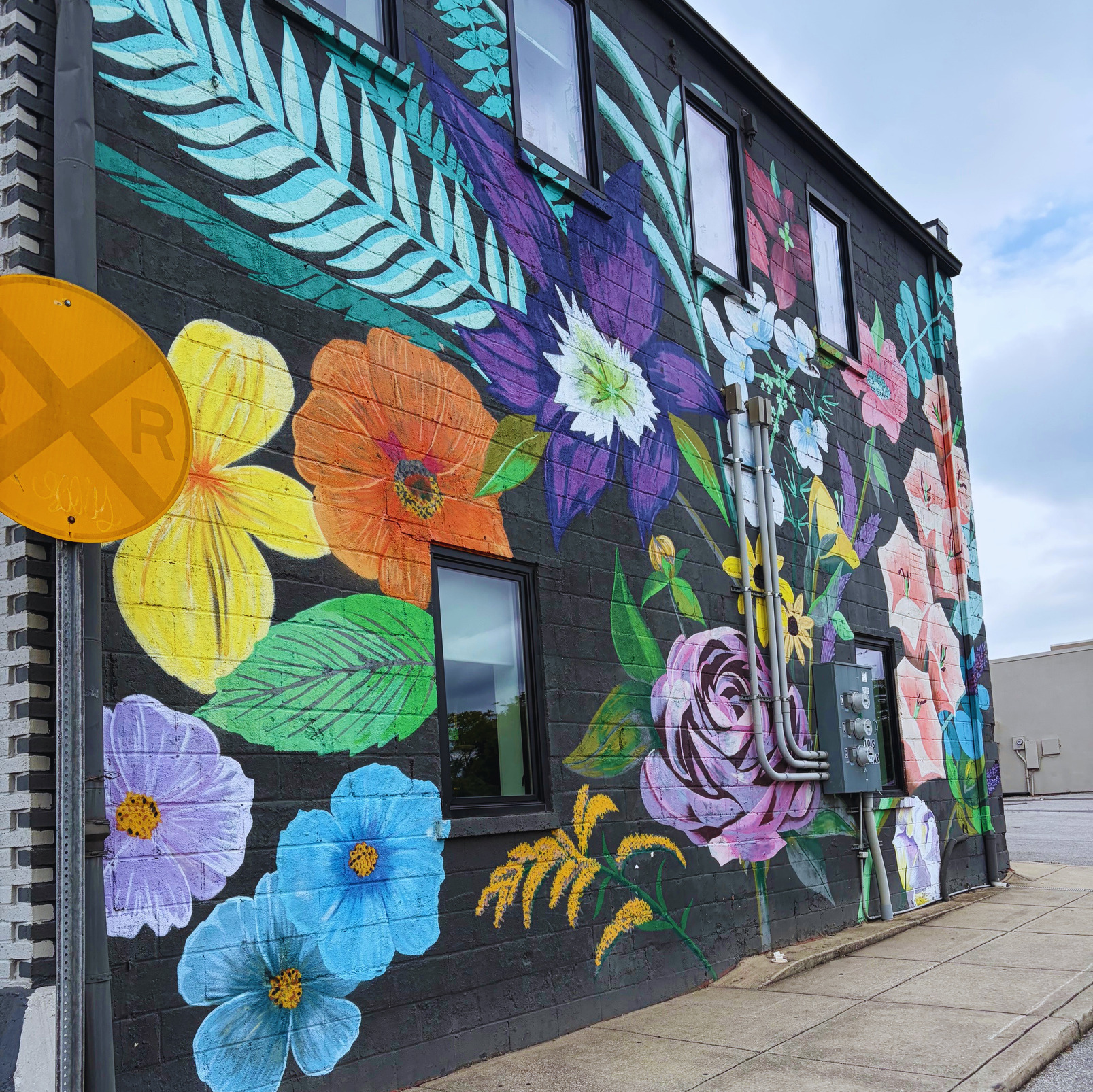 A Long Weekend in Cookeville, TN: Coffee, Concerts, & Cascades