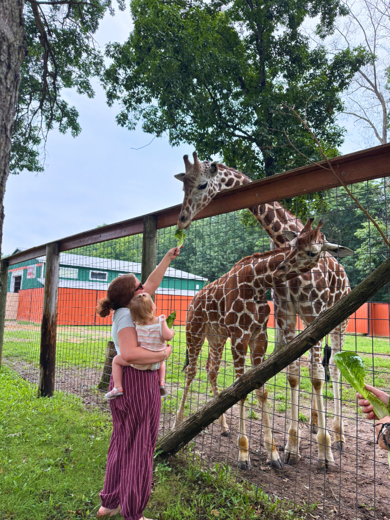 Kait and her daughter feeding a giraffe some lettuce